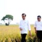 Presiden Jokowi dan Kepala Badan Pangan Nasional (Bapanas) Arief Prasetyo Adi. (Dok. TIm Komunikasi Bapanas)