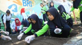 BRI melalui aktivitas Corporate Social Responsibility (CSR) BRI Peduli mengajak pelajar Sekolah Dasar Negeri (SDN) Karangrejek 02 yang beralamat di  Kec. Wonosari, Kabupaten Gunung Kidul, Yogyakarta untuk mengikuti kegiatan edukasi wisata di salah satu lokasi program “BRI Bertani di Kota” (BRINita) Padukuhan Mrican. (Dok. BRI)