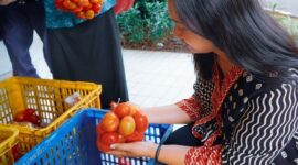 Pemerintah bergerak cepat saat kalangan petani tanaman pangan sedang mengalami kesulitan pada harga jual. (Dok. Tim Komunikasi Bapanas)

