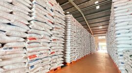 Perum Bulog mulai melakukan penyerapan gabah secara langsung ke beberapa gabungan kelompok tani. (Dok. Bulog.co.id)