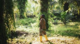 Musim Mas Group, salah satu perusahaan kelapa sawit terintegrasi terbesar di dunia. (Dok. Musimmas.com)