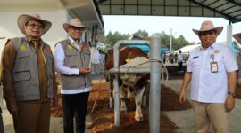 Wakil Menteri Pertanian (Wamentan), Sudaryono mengajak para stakeholder sapi untuk ikut mensukseskan program Makan Bergizi Gratis. (Dok. Kementan)