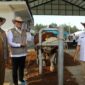 Wakil Menteri Pertanian (Wamentan), Sudaryono mengajak para stakeholder sapi untuk ikut mensukseskan program Makan Bergizi Gratis. (Dok. Kementan)