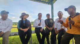 Ketua Komisi IV DPR RI Titiek Soeharto bersama Menteri Pertanian Andi Amran Sulaiman saat meninjau jalanya panen raya di Kabupaten Bantul, Rabu, 15 Januari 2025. (Dok. Kementerian Pertanian)