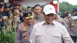 Kegiatan tanam jagung serentak seluas 1 juta hektar yang melibatkan 19 provinsi di Indonesia. (Dok. Kementan)