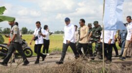 Wakil Menteri Pertanian, Sudaryono menyoroti anjloknya harga serapan gabah di Provinsi Sumatera Selatan. (Dok, Kementerian Pertanian)