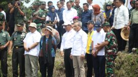Menteri Pertanian (Mentan), Andi Amran Sulaiman saat mendampingi kunjungan kerja panen raya Ketua Komisi IV DPR RI, Titiek Soeharto di Kabupaten Bantul. (Dok. Kementerian Pertanian)