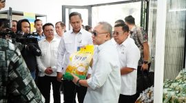 Pemerintah resmi meluncurkan Program Stabilisasi Pasokan dan Harga Pangan (SPHP) Beras. (Dok. Bapanas)