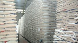 Beras. (Dok. pertanian.go.id)