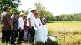 Badan Pangan Nasional (Bapanas) secara konsisten menaruh atensi besar pada keberimbangan dari sektor hulu sampai hilir.  (Dok. Tim Komunikasi Bapanas)