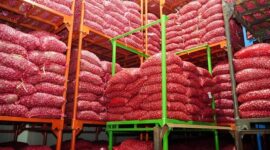 Kepala Badan Pangan Nasional (Bapanas) Arief Prasetyo Adi Meninjau produksi bawang merah  di Brebes, Jawa Tengah. (Dok. Tim Komunikasi Bapanas)