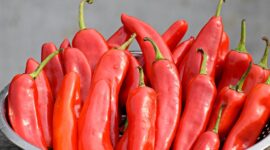 Kementan memastikan ketersediaan cabai secara nasional aman hingga akhir tahun 2024. (Pixabay.com/balouriarajesh)