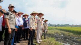 Menteri Pertanian, Andi Amran Sulaiman, bersama Wakil Menteri Dalam Negeri, Bima Arya, melaksanakan panen padi menggunakan combine harvester di Kelurahan Tunjung, Kecamatan Burneh, Kabupaten Bangkalan, Jawa Timur. (Dok. Kementerian Pertanian)
