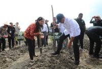 Wakil Menteri Pertanian (Wamentan), Sudaryono. (Dok. Kementerian Pertanian)
