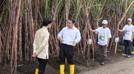 Wamentan Sudaryono menyerahkan traktor dan combine harvester ke petani Ketapang, dia peringatkan larangan jual atau sewa alsintan bantuan negara. (Dok. Kementerian Pertanian)
